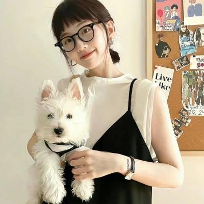 无法无家海报